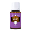 Essential Oil Lavender