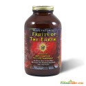Fruits of the Earth - powder - 360 g