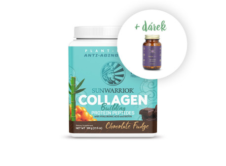 Collagen Builder chocolate Collagen Builder chocolate