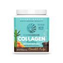 Collagen Builder čokoláda, prášek