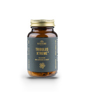 Tribulus Xtreme Bulgarian 90% saponins extract, Capsules 