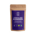 Lyophilized Blueberries Organic