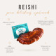 Reishi Mushroom Elixir Mix BIO, prášek