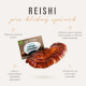 Reishi Mushroom Cacao Mix Organic, Powder
