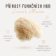 Lion’s Mane Mushroom Elixir Mix BIO, prášok