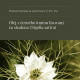Black Seed Oil Organic