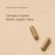 Cognitive, kapsle