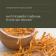 Cordyceps Extract Organic, Capsules