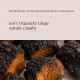 Chaga extrakt BIO, kapsle