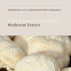 Lion's mane extrakt BIO, kapsuly