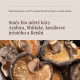 Mushroom coffee BIO, prášok