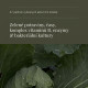 Nature's living superfood BIO, prášek