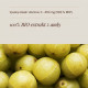 Vitamín C přírodní BIO, kapsle