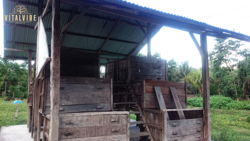 Fermentace kakaových bobů