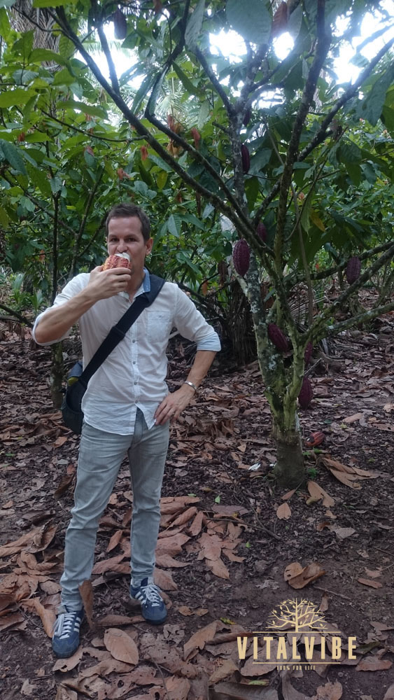 Ochutnávka kakaových bobů přímo na plantáži
