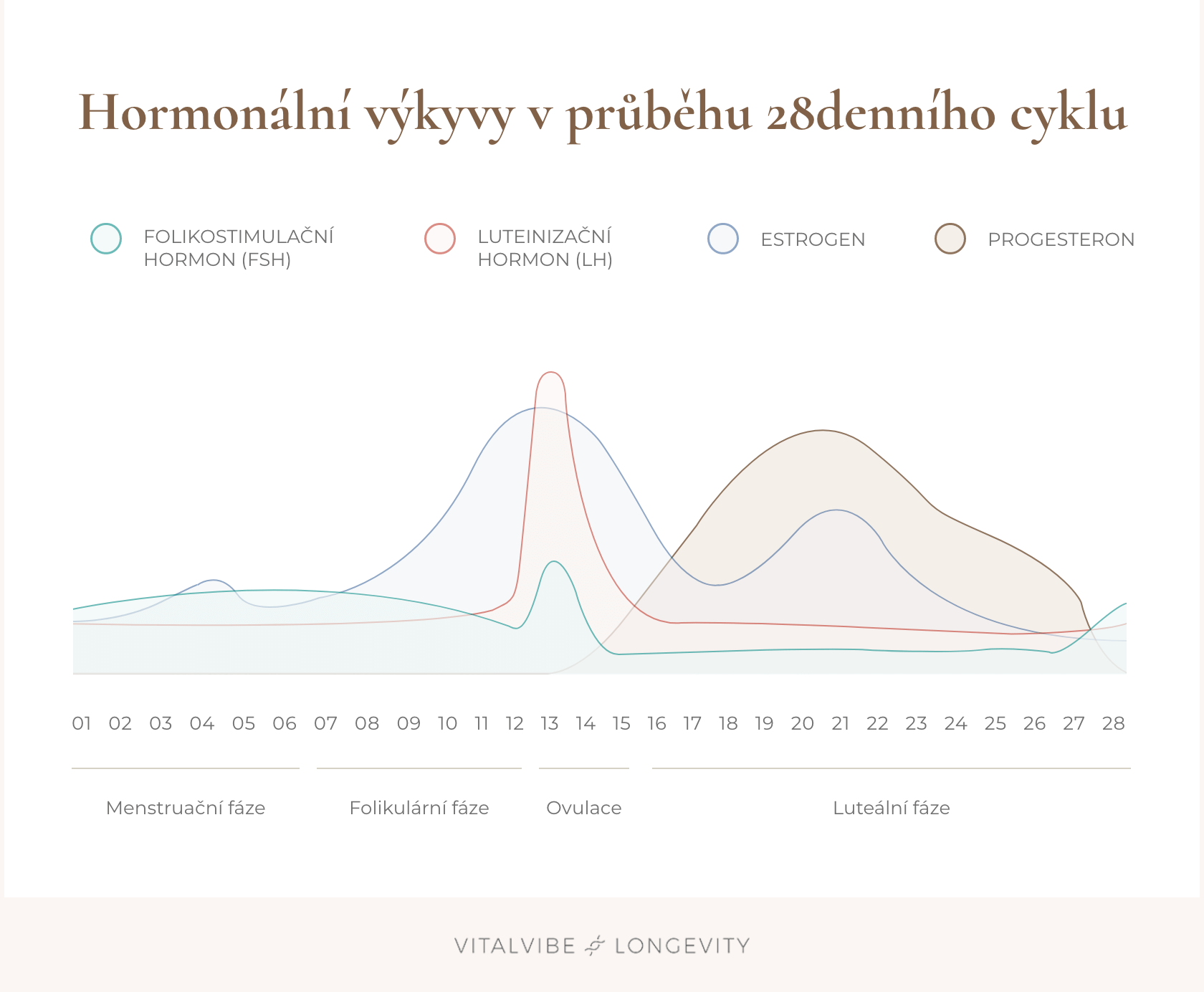 ženské hormony a menstruační cyklus