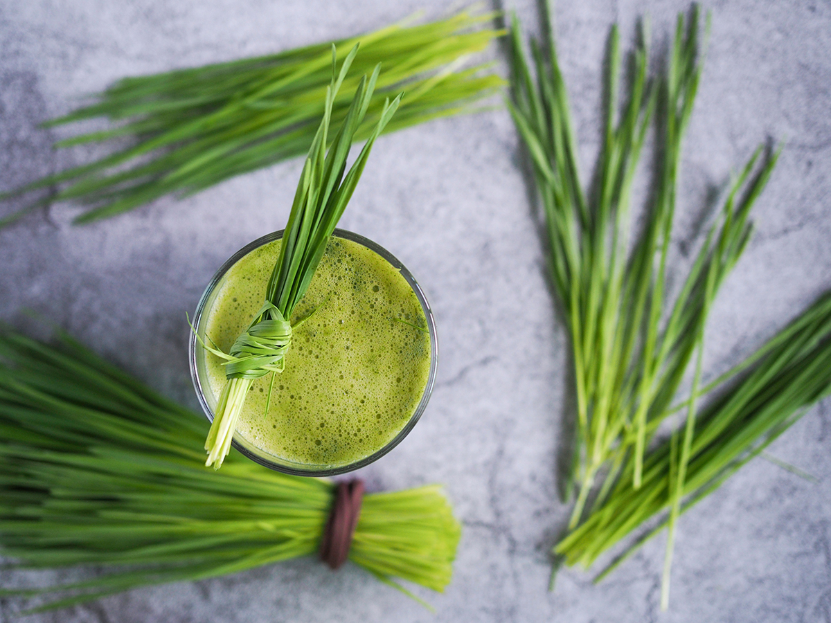 Mladý ječmen, spirulina nebo chlorella?