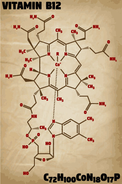 Molekula B12
