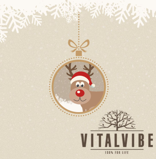 Vánoční web Vitalvibe