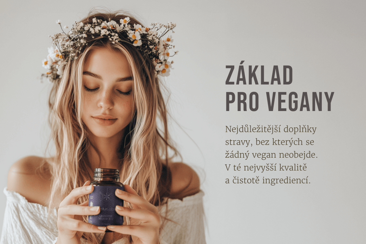 Základ pro vegany