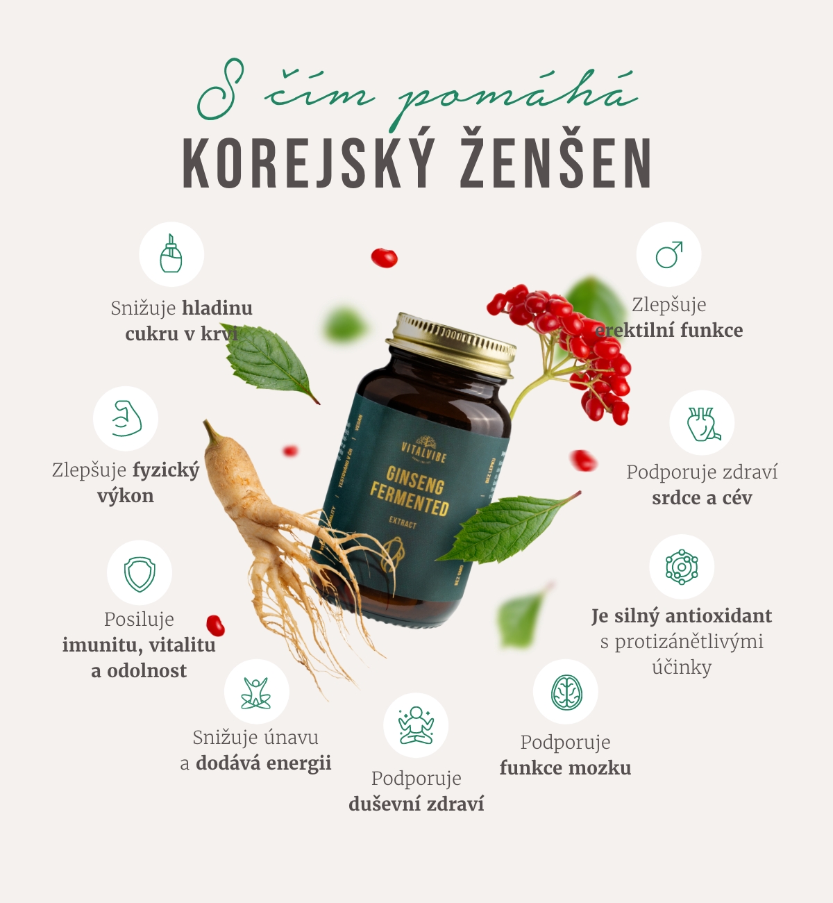 S čím pomáhá korejský ženšen?